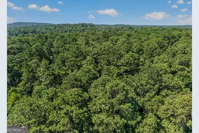 220 Cameron Mill Road, Lagrange, GA 30240 - Photo 11