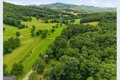 3426 Old Hwy 64 W, Warne, NC 28909 - Photo 31