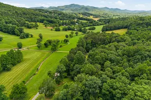 3426 Old Hwy 64 W, Warne, NC 28909 - Photo 31