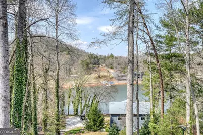 390 Bursey Road, Hiawassee, GA 30546 - Photo 5