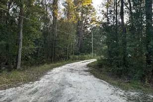 216 Skye Vw Dr, Statesboro, GA 30458 - Photo 33