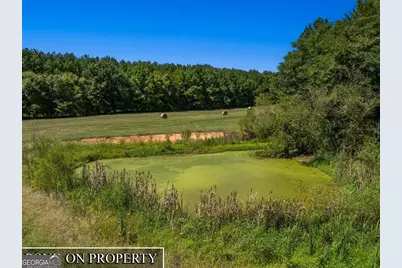 2344 Allen White Rd, Bowman, GA 30624 - Photo 37