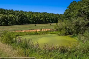 2344 Allen White Rd, Bowman, GA 30624 - Photo 37