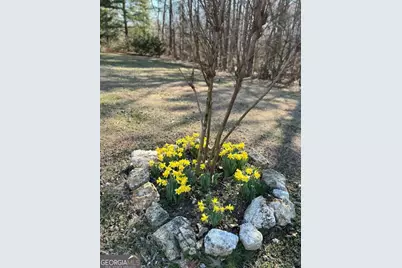 1328 Monroe Green Road, Trion, GA 30753 - Photo 61