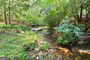 3149 Big Creek Rd, Cherry Log, GA 30522 - Photo 25
