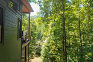 3149 Big Creek Rd, Cherry Log, GA 30522 - Photo 9
