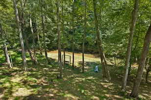 96 Jamie Ln, Blairsville, GA 30512 - Photo 47