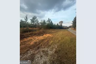 0001 Sandy Cross Road, Crawfordville, GA 30631 - Photo 5