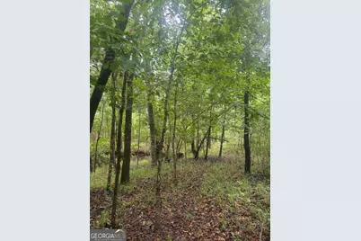 0001 Sandy Cross Road, Crawfordville, GA 30631 - Photo 3