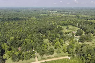 3797 Jonathans Roost Rd, Williamson, GA 30292 - Photo 31
