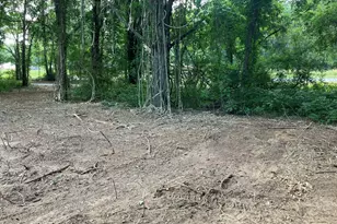0 Durand Hwy, Warm Springs, GA 31830 - Photo 1
