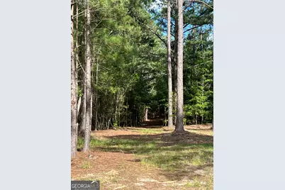 1 Frazier Road, Sparta, GA 31087 - Photo 25