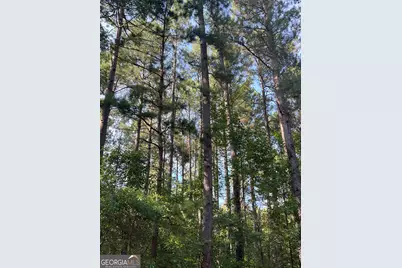 1 Frazier Road, Sparta, GA 31087 - Photo 31