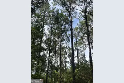 1 Frazier Road, Sparta, GA 31087 - Photo 27