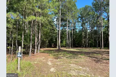 1 Frazier Road, Sparta, GA 31087 - Photo 23