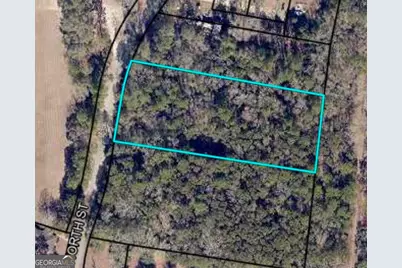 0 North Street, Statesboro, GA 30458 - Photo 1
