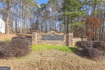 95 Spring Forest Trail, Sharpsburg, GA 30277 - Photo 57