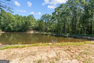 17187 Ga Hwy 34, Franklin, GA 30217 - Photo 31