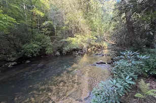 10 Fightingtown Drive, Blue Ridge, GA 30513 - Photo 47