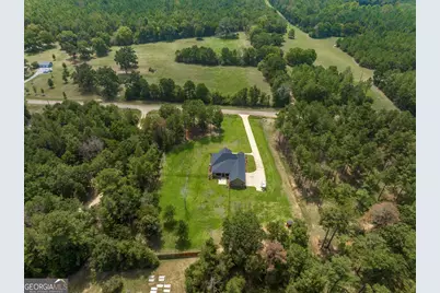 271 Sewell Road, Elko, GA 31025 - Photo 45