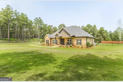271 Sewell Road, Elko, GA 31025 - Photo 41