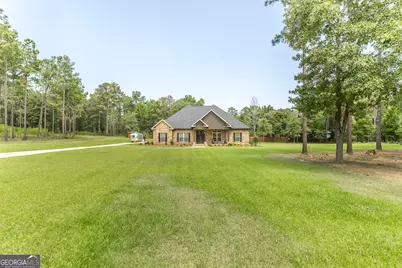271 Sewell Road, Elko, GA 31025 - Photo 39