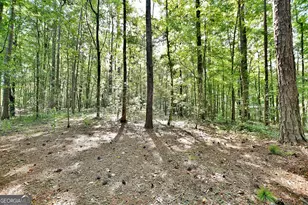 907 Big Sky Dr, Hamilton, GA 31811 - Photo 31