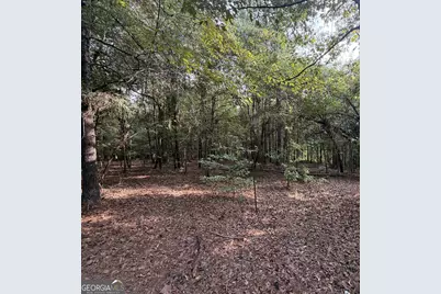 0 Oak Grove Road, Pine Mountain, GA 31822 - Photo 37