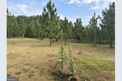 0 Oak Grove Road, Pine Mountain, GA 31822 - Photo 13