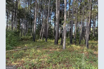0 Oak Grove Road, Pine Mountain, GA 31822 - Photo 33