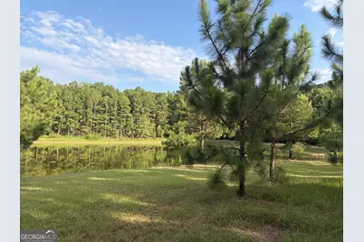 0 Oak Grove Road, Pine Mountain, GA 31822 - Photo 19