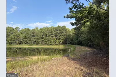 0 Oak Grove Road, Pine Mountain, GA 31822 - Photo 21