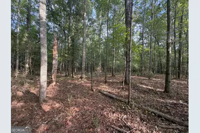 0 Oak Grove Road, Pine Mountain, GA 31822 - Photo 31