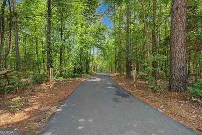 335 Dunn Road SE, Silver Creek, GA 30173 - Photo 55