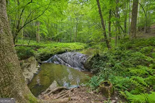 418 Wild Turkey Trail, Dahlonega, GA 30533 - Photo 53