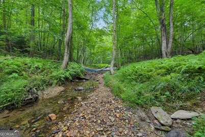 418 Wild Turkey Trail, Dahlonega, GA 30533 - Photo 55