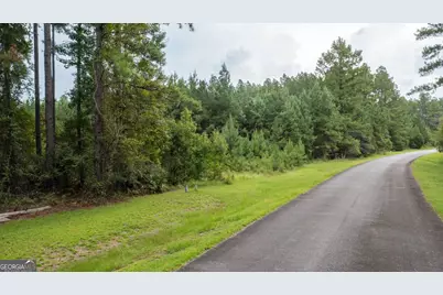 V/L La Sole Lane, Waverly, GA 31565 - Photo 3