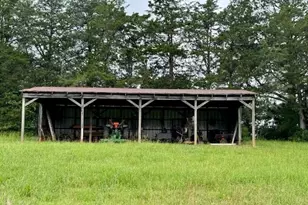 360 Morgan Mill Rd, Brooks, GA 30205 - Photo 63