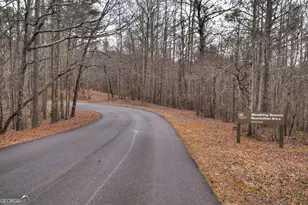 144 Emerald Cv Dr, Ellijay, GA 30540 - Photo 57
