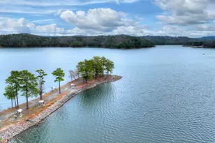 144 Emerald Cv Dr, Ellijay, GA 30540 - Photo 61