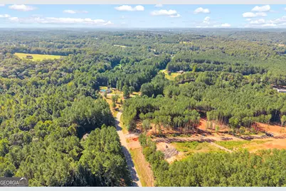 848 Swilling Road, Martin, GA 30557 - Photo 43