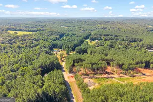 848 Swilling Rd, Martin, GA 30557 - Photo 43
