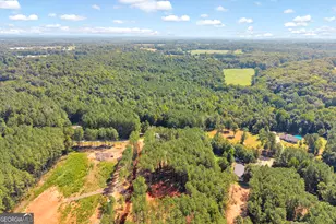 848 Swilling Rd, Martin, GA 30557 - Photo 47