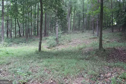 330 Mountain View Road, Lavonia, GA 30553 - Photo 1