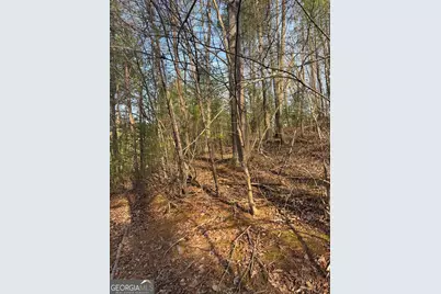 208 Lake Forest Drive, Ellijay, GA 30540 - Photo 13