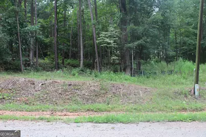 304 Mountain View Road, Lavonia, GA 30553 - Photo 3