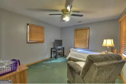 160 Moores Road, Mineral Bluff, GA 30559 - Photo 45