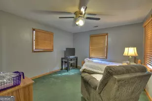 160 Moore's Rd, Mineral Bluff, GA 30559 - Photo 45