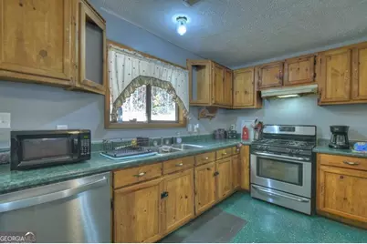 160 Moores Road, Mineral Bluff, GA 30559 - Photo 33