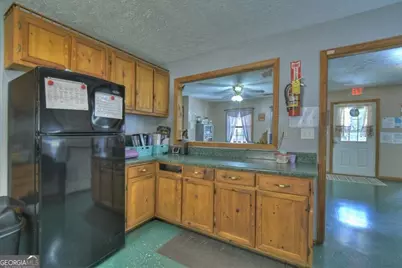 160 Moores Road, Mineral Bluff, GA 30559 - Photo 13